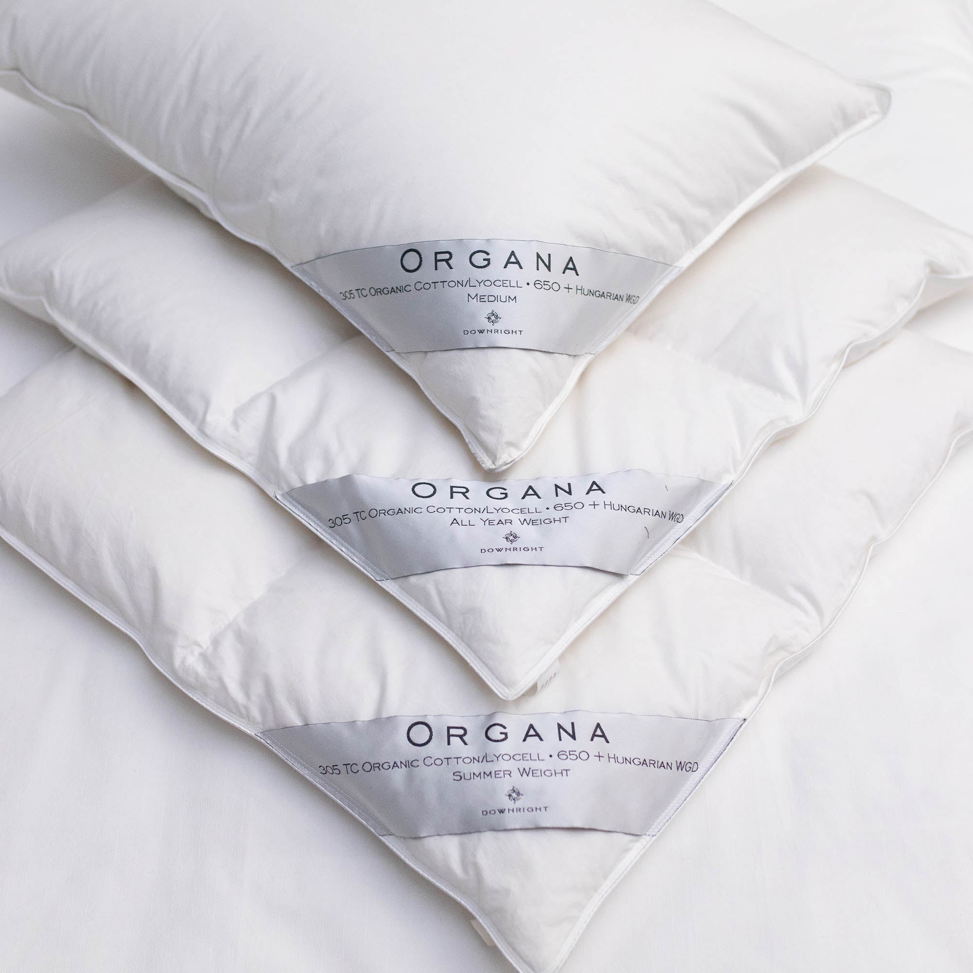 Stella Tribeca Bedding Organa Down Comforters