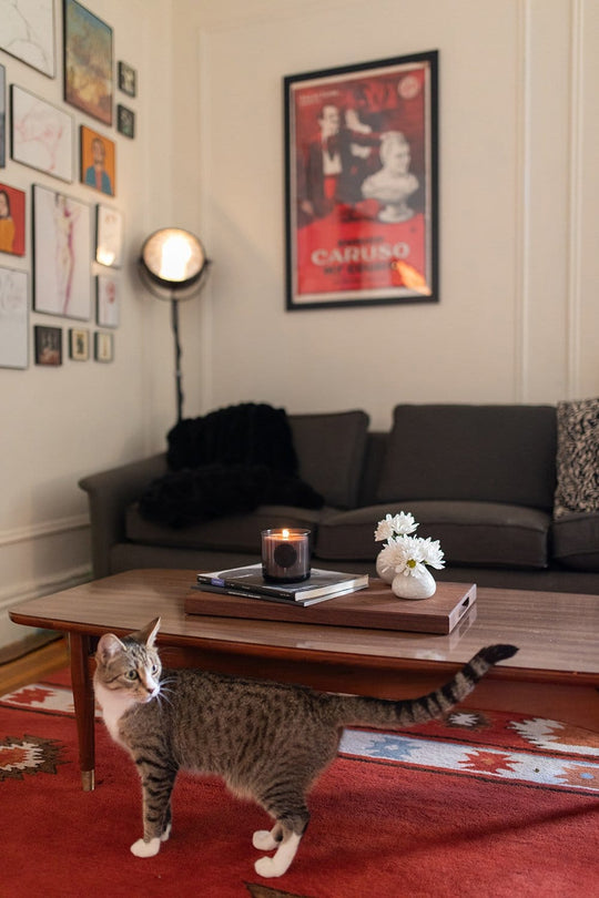 At Home with the Stella Team: Apartment Tour with Alexx Duvall