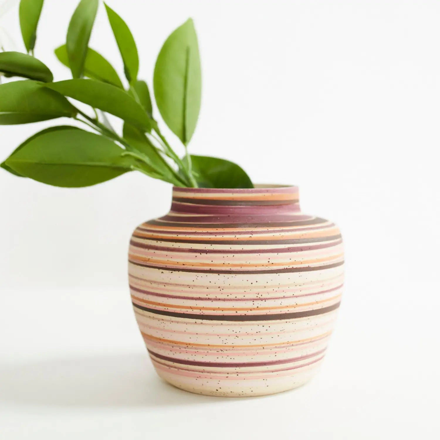 Hahei Vases: Conversation with Annie Sandano