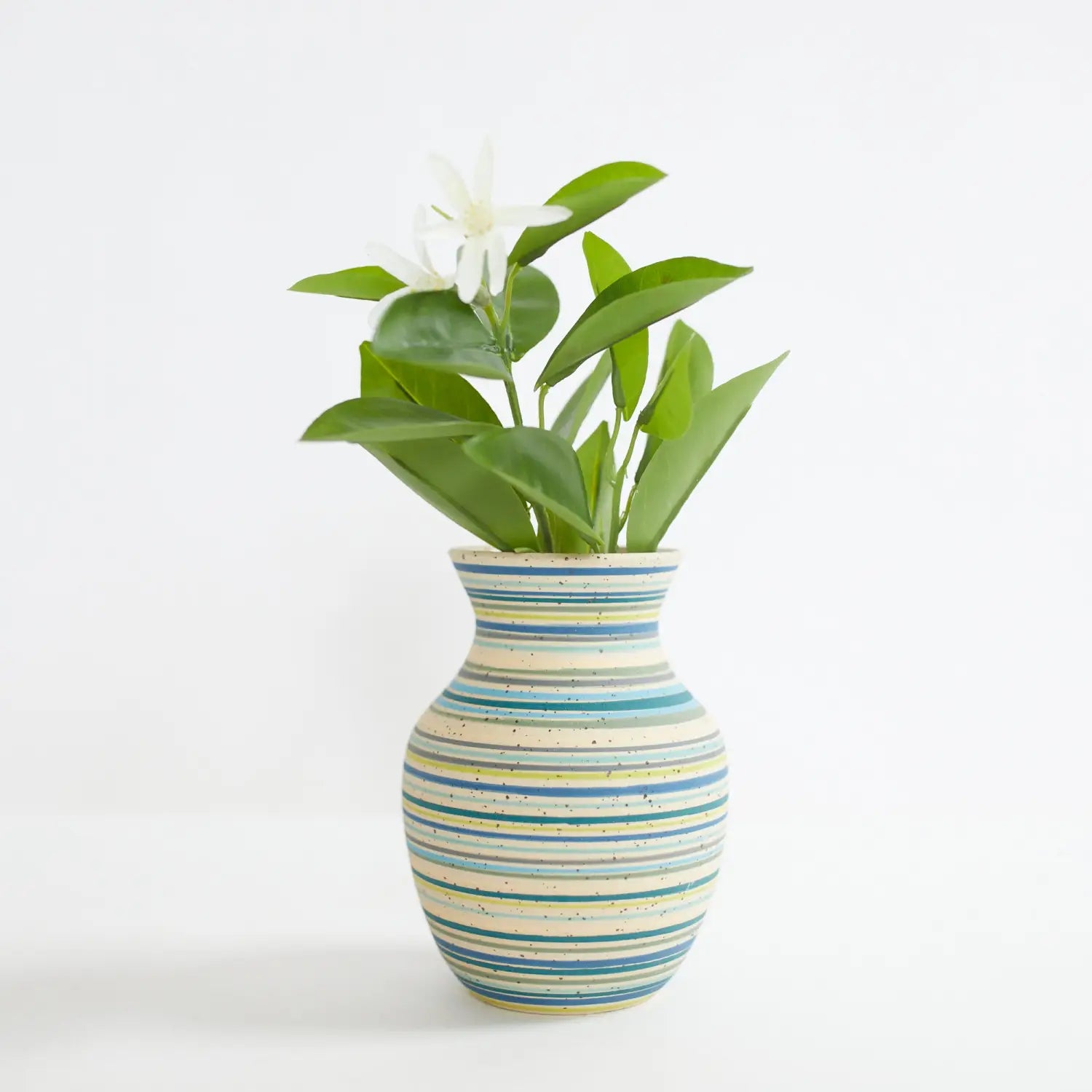 Hahei Vases: Conversation with Annie Sandano