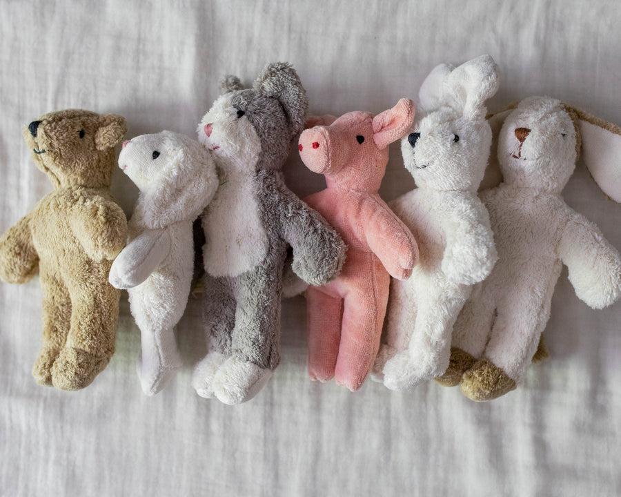 Baby Sheep - Senger - $56