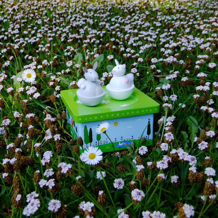 Dancing Bunnies Music Box - Jack Rabbit Creations - Baby - $38