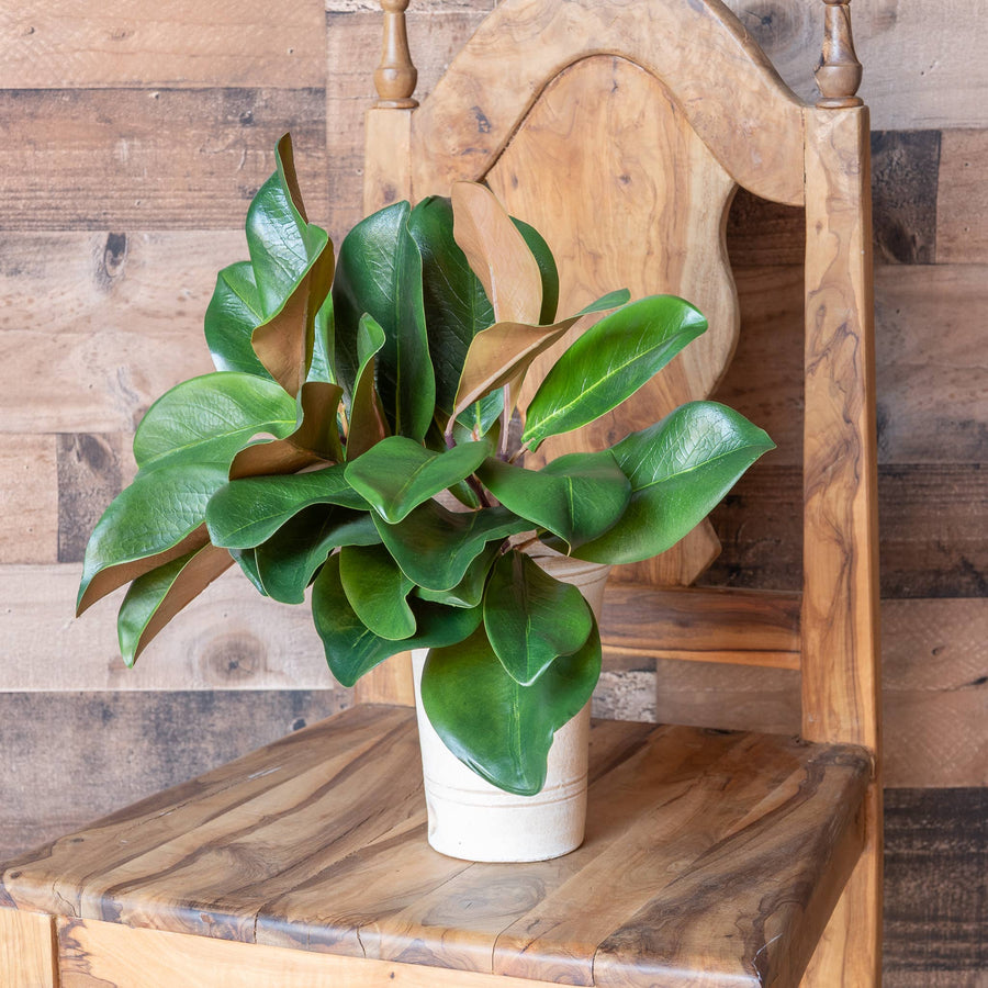 Magnolia Leaf Spray - 16 Inch - Mills Floral Company - Accessories - $14