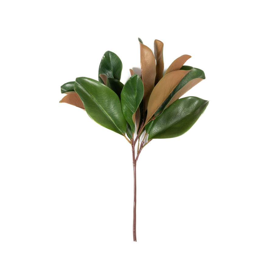 Magnolia Leaf Spray - 16 Inch - Mills Floral Company - Accessories - $14