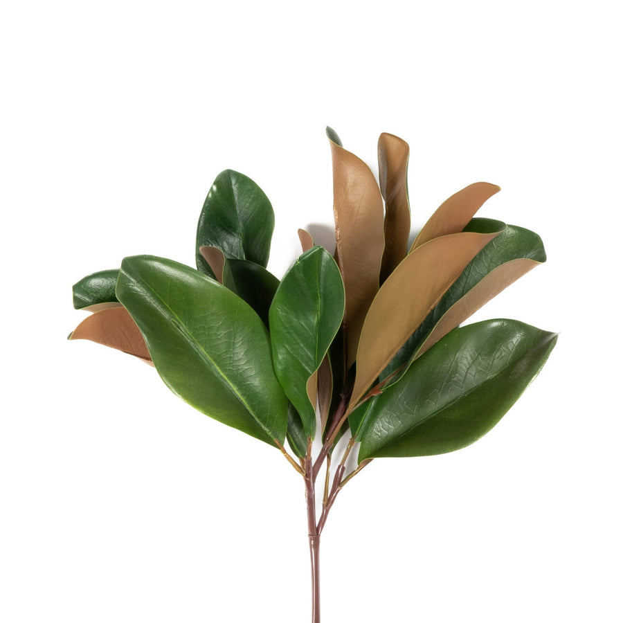 Magnolia Leaf Spray - 16 Inch - Mills Floral Company - Accessories - $14