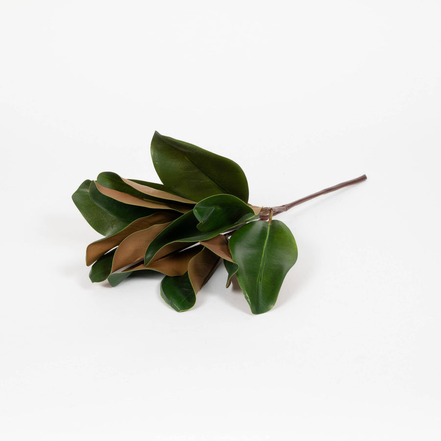 Magnolia Leaf Spray - 16 Inch - Mills Floral Company - Accessories - $14