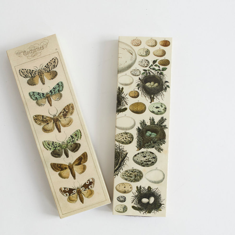 Matches - Moths - HomArt - Accessories - $12