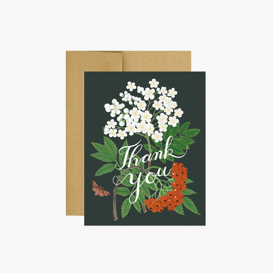 MOUNTAIN ASH | thank you card - Botanica Paper Co. - Cards - $6.50