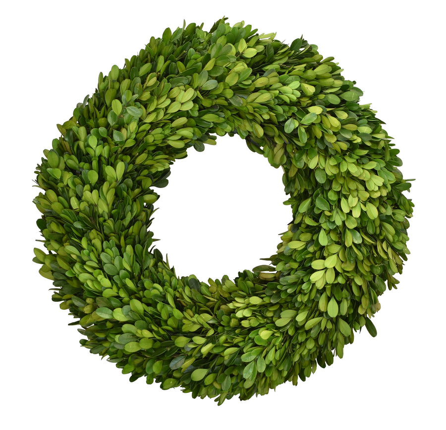 Preserved Boxwood Wreath - 16 Inch - Mills Floral Company - Accessories - $138