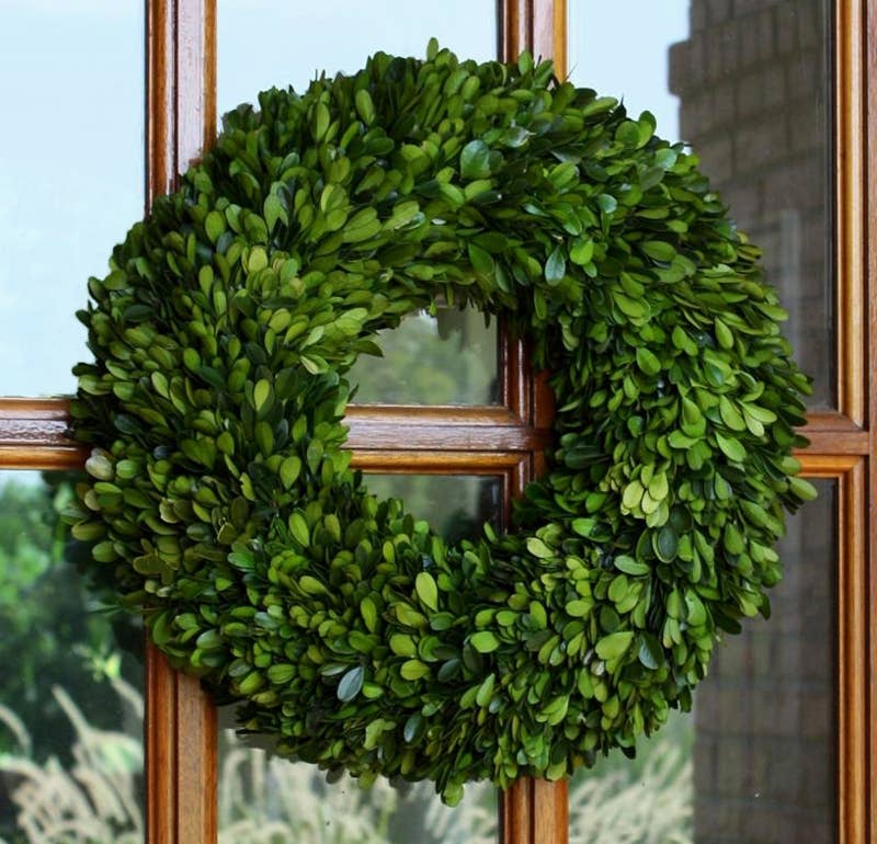 Preserved Boxwood Wreath - 16 Inch - Mills Floral Company - Accessories - $138