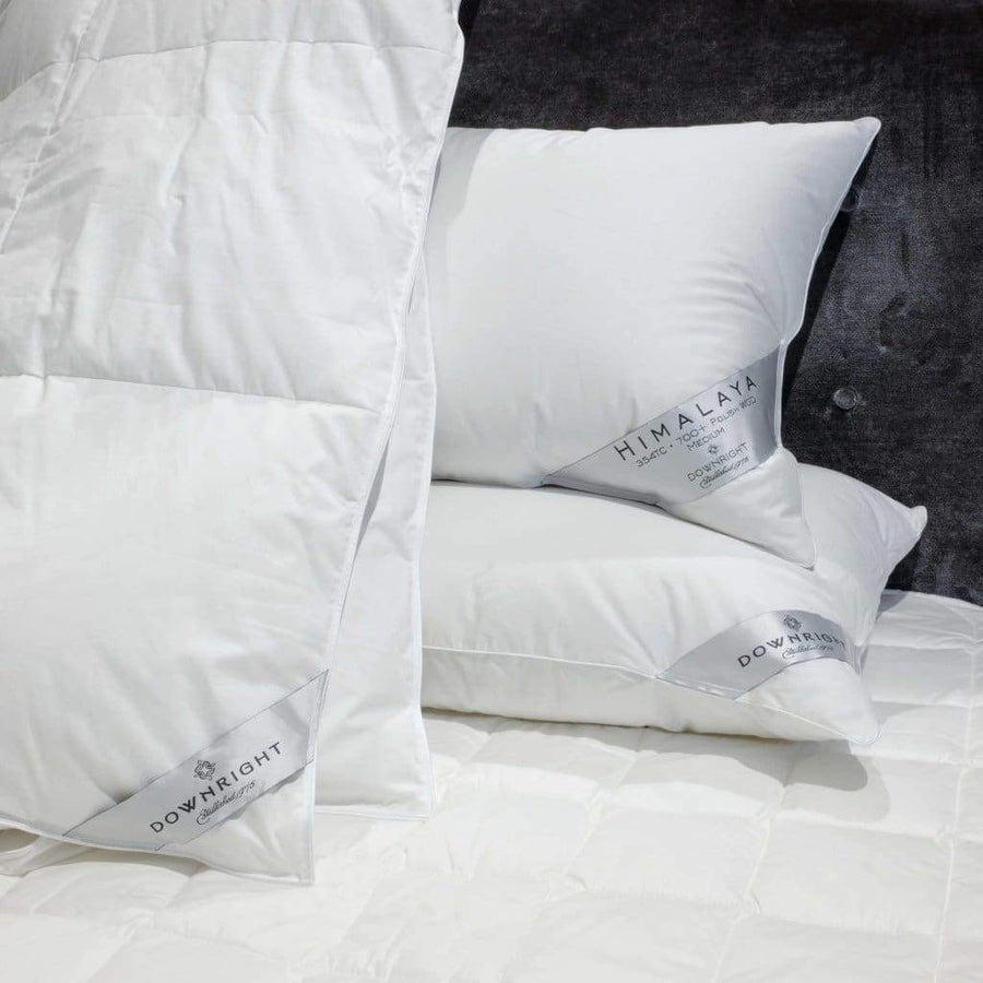Sateen Pillow Protectors - King - 20’ x 36’ - Downright - Bedding - $23