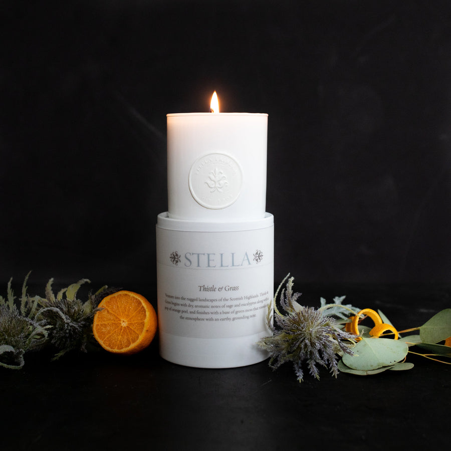 Thistle & Grass - Blanca Beeswax Candles - Stella Fragrance - $60