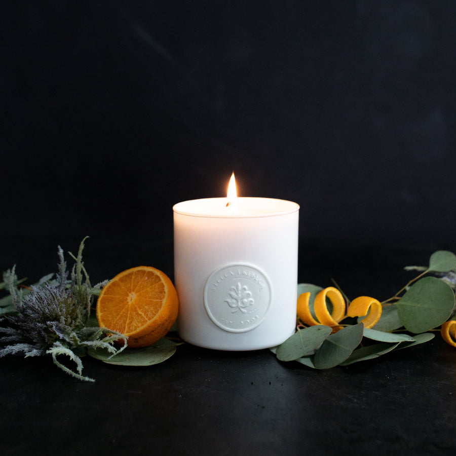 Thistle & Grass - Blanca Beeswax Candles - Stella Fragrance - $60