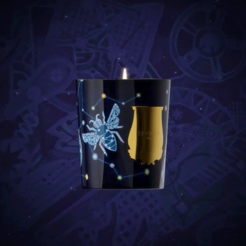 Trudon - Luna - Holiday Fragrance - 9.5oz Candle - $160