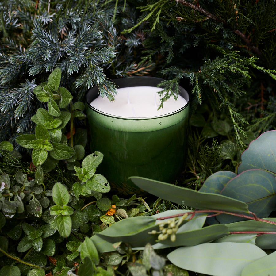 Winter Pine Holiday Beeswax Candle - 16oz - Stella Tribeca - Fragrance - $95