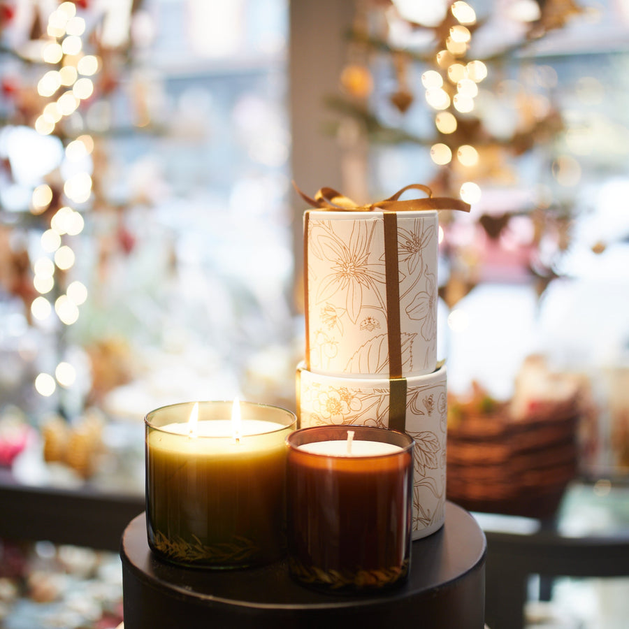 Winter Pine Holiday Beeswax Candle - Stella Tribeca - Fragrance