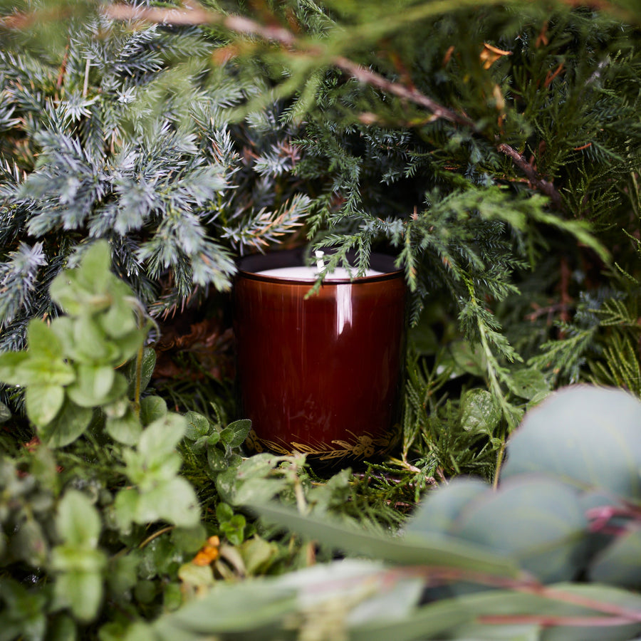 Winter Pine Holiday Beeswax Candle - 8oz - Stella Tribeca - Fragrance - $65