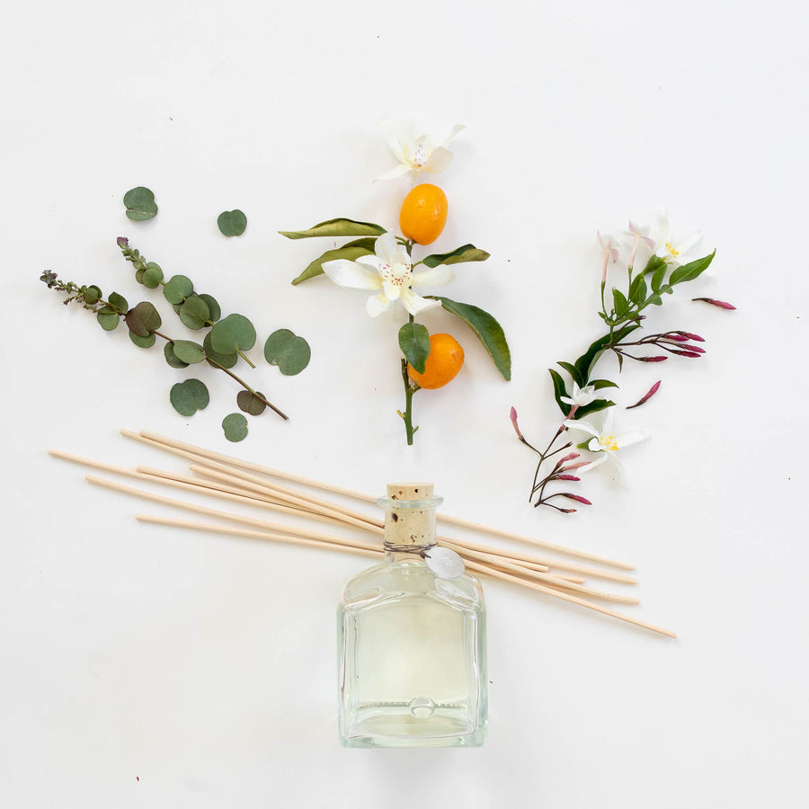 Birch & Blossom Collection - Reed Diffuser Stella Fragrance $75