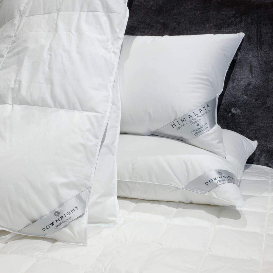 Himalaya Down Pillows - Downright - Bedding - $306