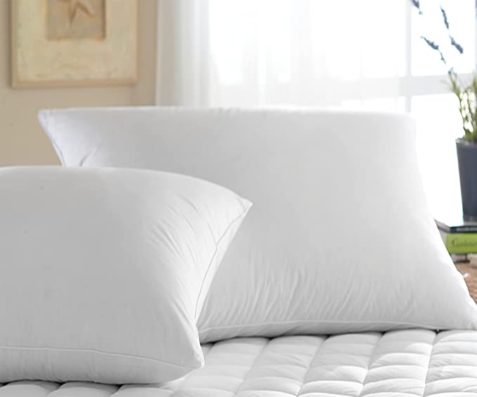Organa Down Pillows - Downright - Bedding - $387